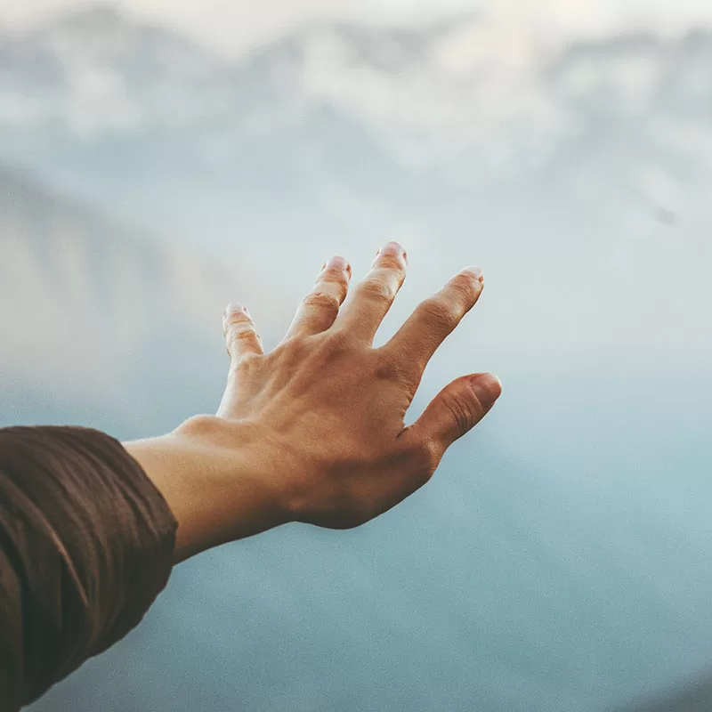 reaching for the sky